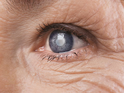 Clear Eye Care | Comprehensive Eye Exams, Dry Eye Treatment and Diabetic Eye Exams